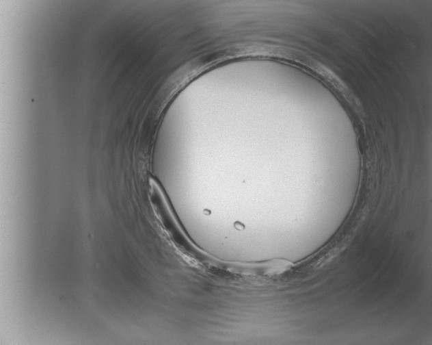 X0000080170993200612302214