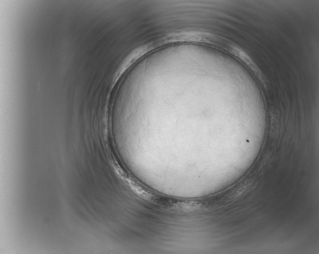 X0000080170994200612302214