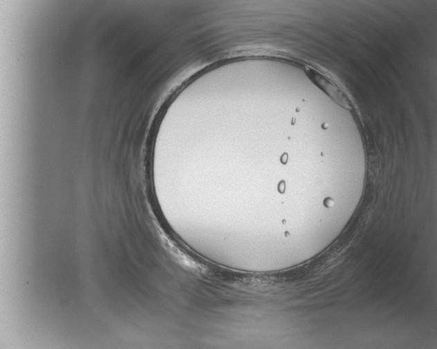 X0000080170995200612302214