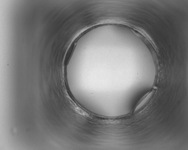 X0000080170996200612302214