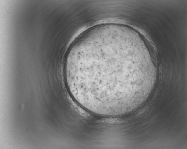 X0000080170998200612302214