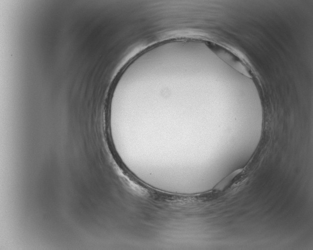 X0000080170999200612302214