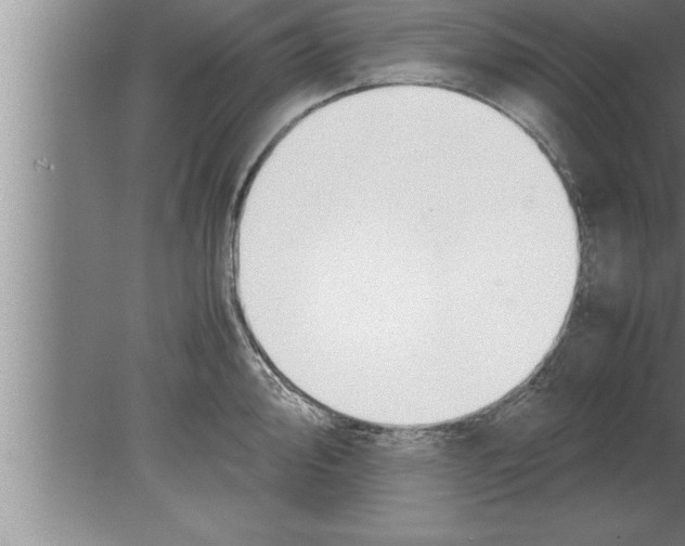 X0000080171000200612302214