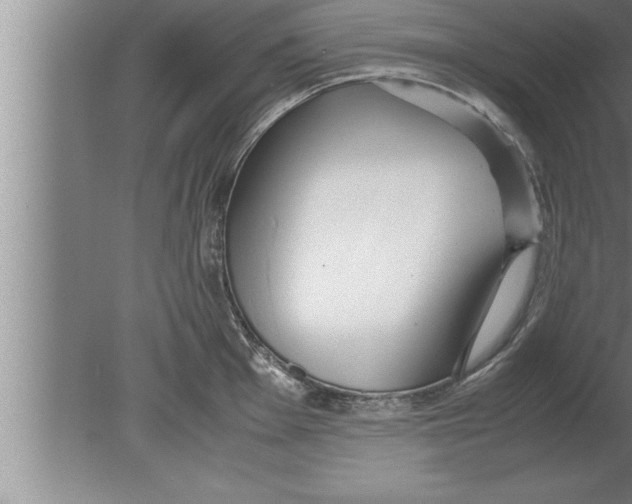 X0000080171001200612302214