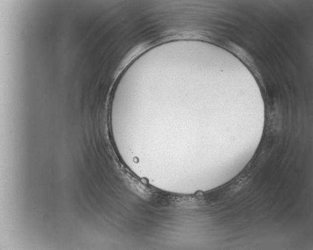 X0000080171002200612302214