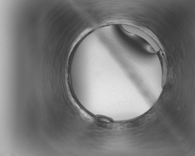 X0000080171005200612302214