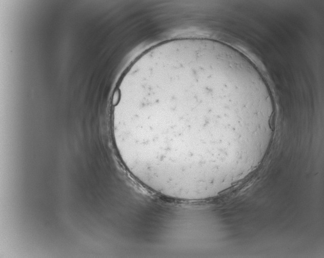 X0000080171008200612302214