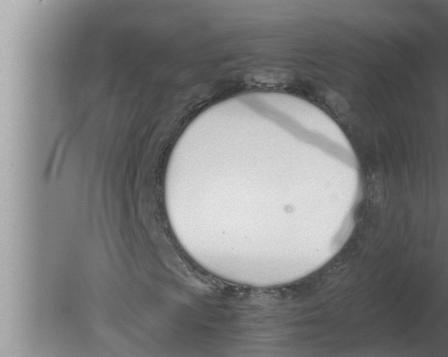 X0000080171009200612302213