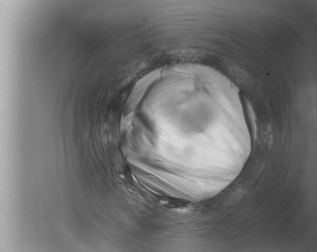 X0000080171010200612302213