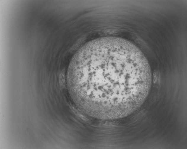 X0000080171011200612302213