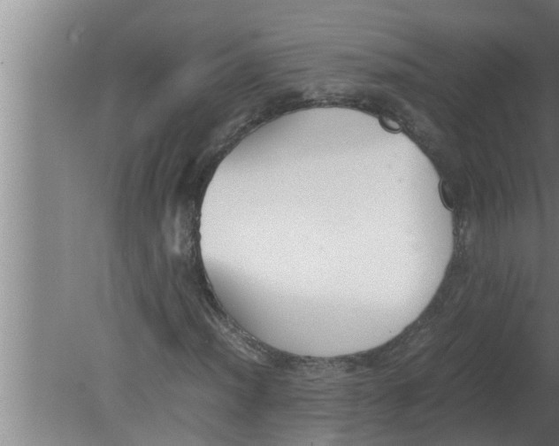 X0000080171012200612302213