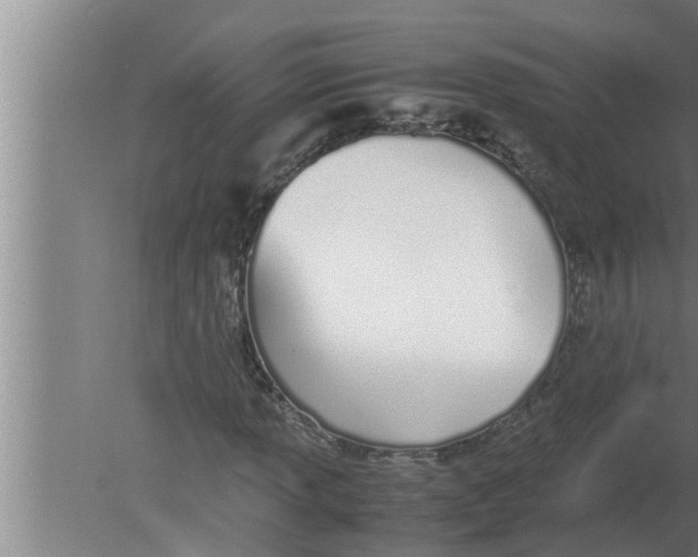 X0000080171013200612302213