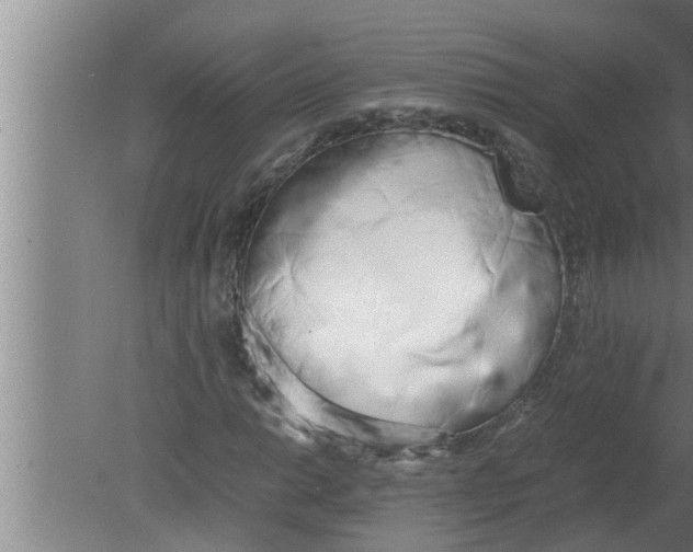 X0000080171014200612302214