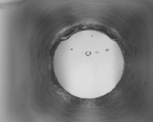 X0000080171016200612302214