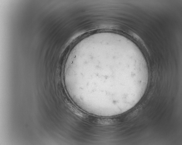 X0000080171019200612302214