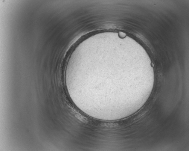 X0000080171023200612302214