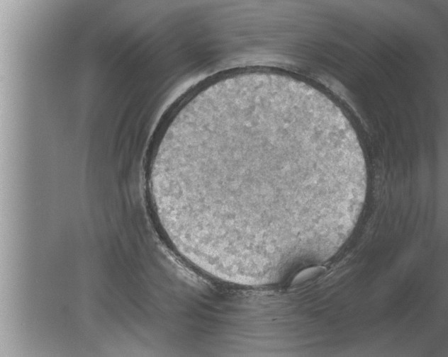 X0000080171024200612302214