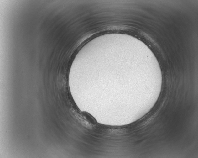 X0000080171025200612302214