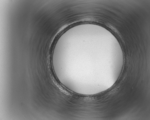 X0000080171029200612302214