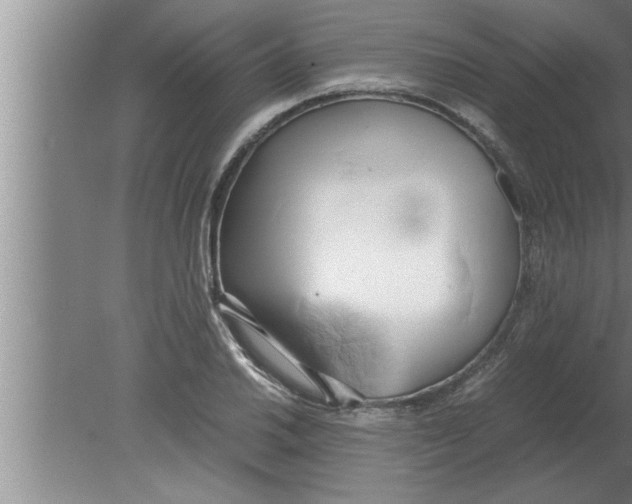 X0000080171030200612302214