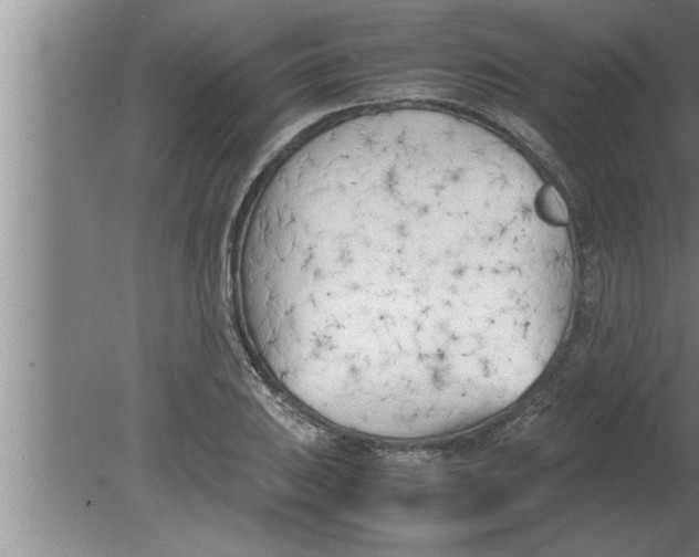 X0000080171031200612302214