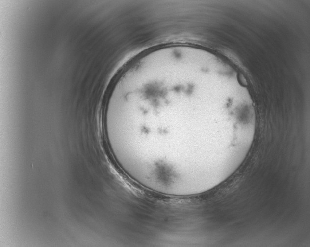 X0000080171032200612302214