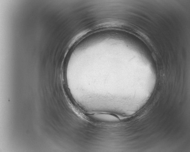 X0000080171034200612302214