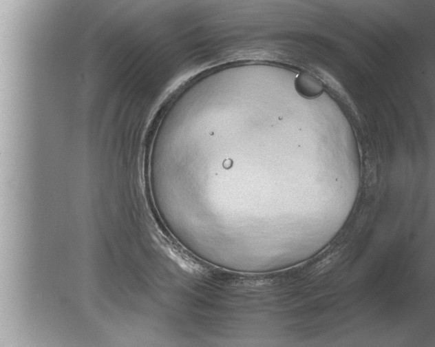 X0000080171035200612302214