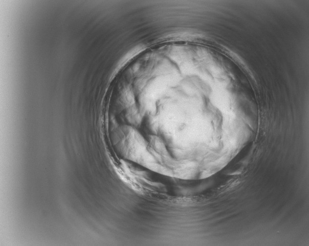 X0000080171042200612302214