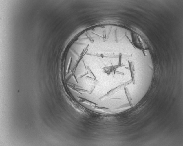 X0000080171043200612302214