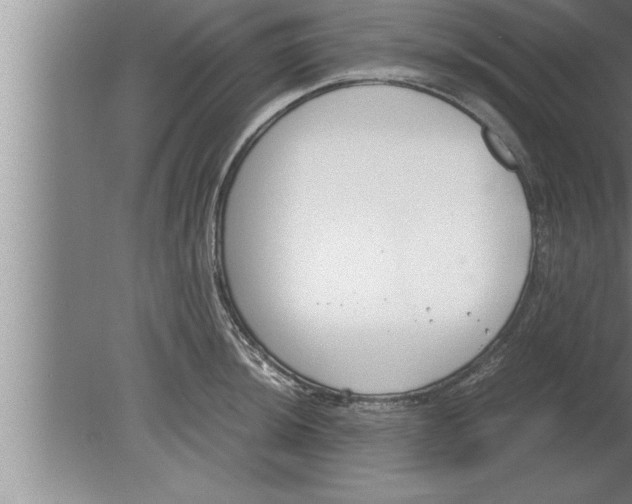 X0000080171044200612302214