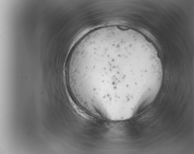 X0000080171047200612302214