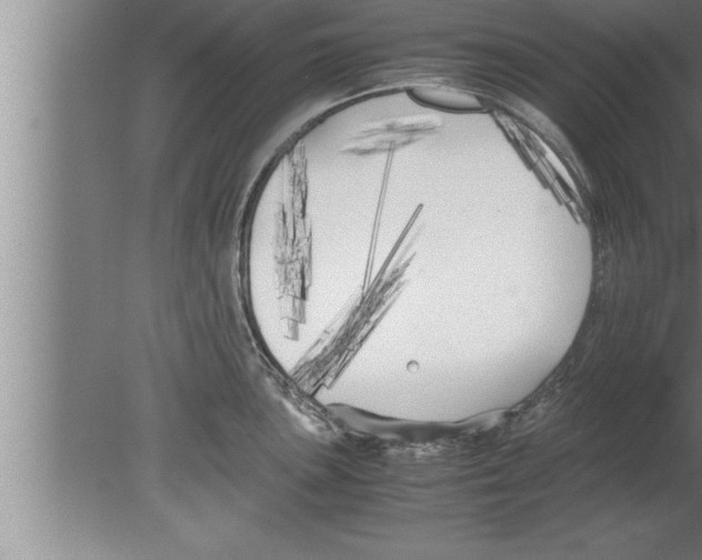 X0000080171051200612302214