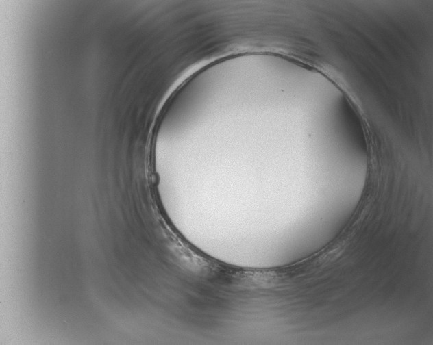 X0000080171052200612302214