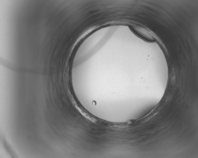 X0000080171053200612302214