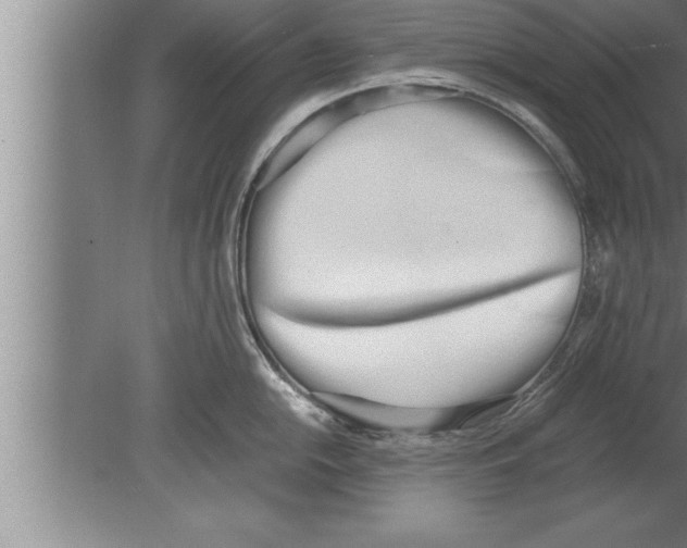 X0000080171054200612302214