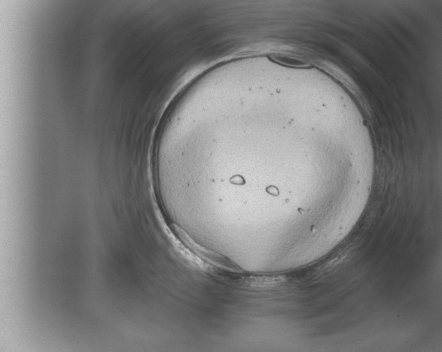 X0000080171055200612302214