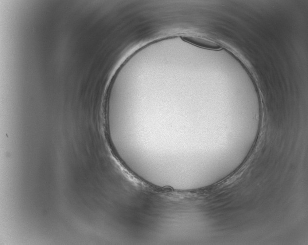 X0000080171056200612302214