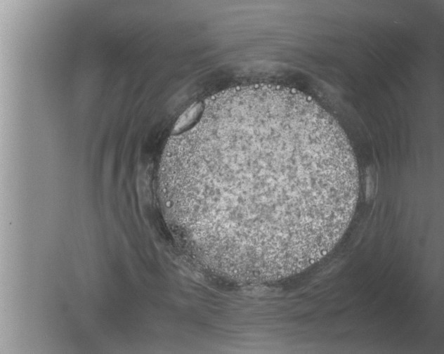 X0000080171059200612302213