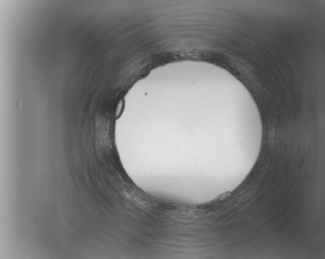 X0000080171060200612302213