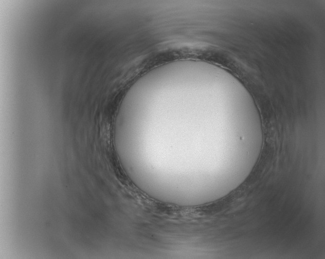 X0000080171061200612302213