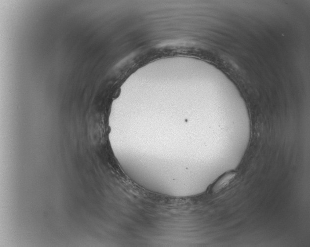 X0000080171062200612302213