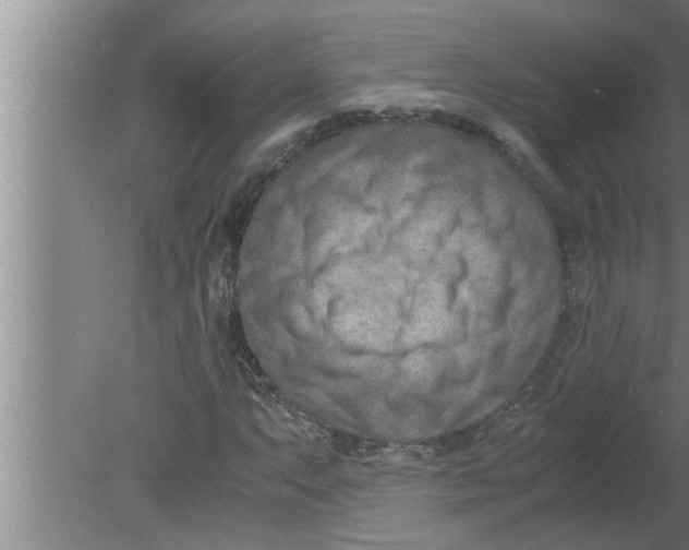 X0000080171063200612302213