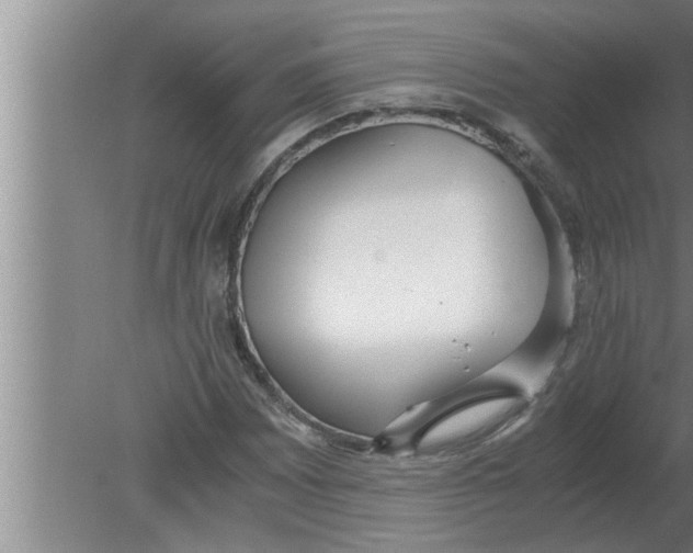 X0000080171065200612302213