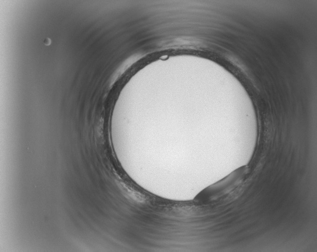 X0000080171066200612302213