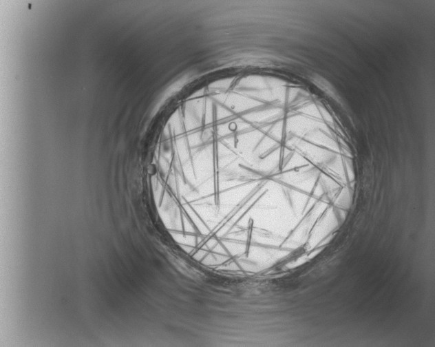 X0000080171067200612302213