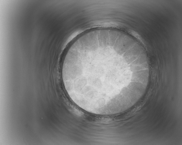 X0000080171071200612302213