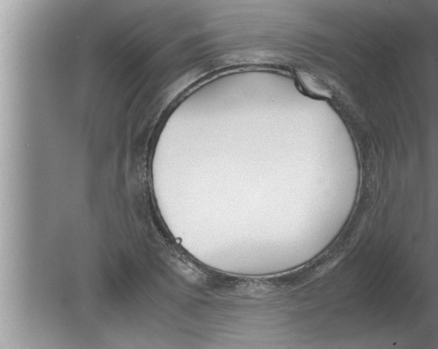 X0000080171073200612302213