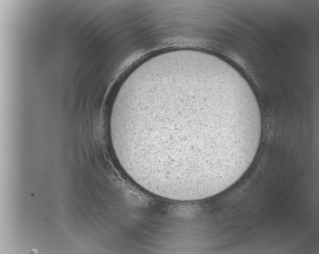 X0000080171074200612302213