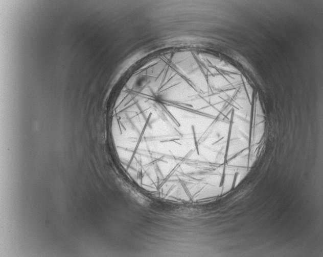 X0000080171075200612302213